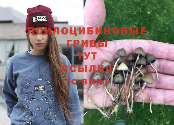 мяу мяу кристалл Елизово