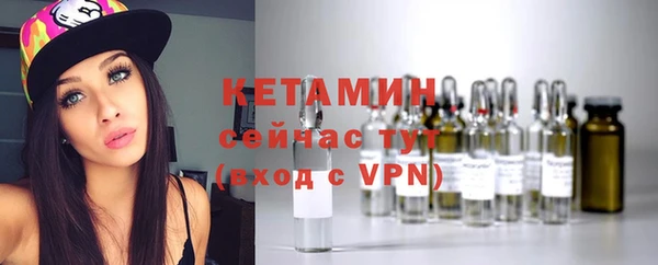 стаф Дмитров