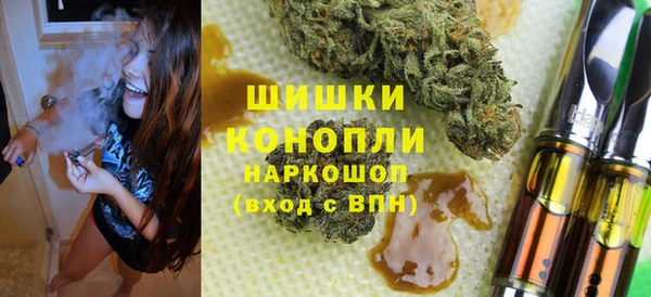 стаф Дмитров