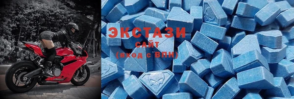 стаф Дмитров