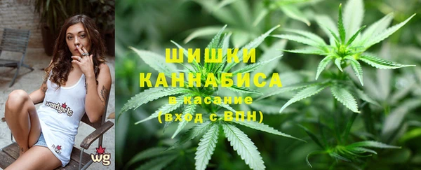 стаф Дмитров