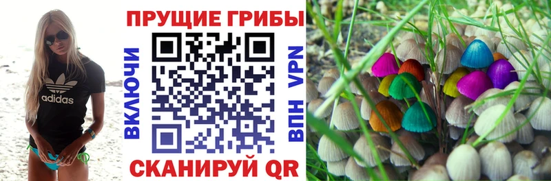 Купить закладки  Зубцов  Псилоцибиновые грибы ЛСД 